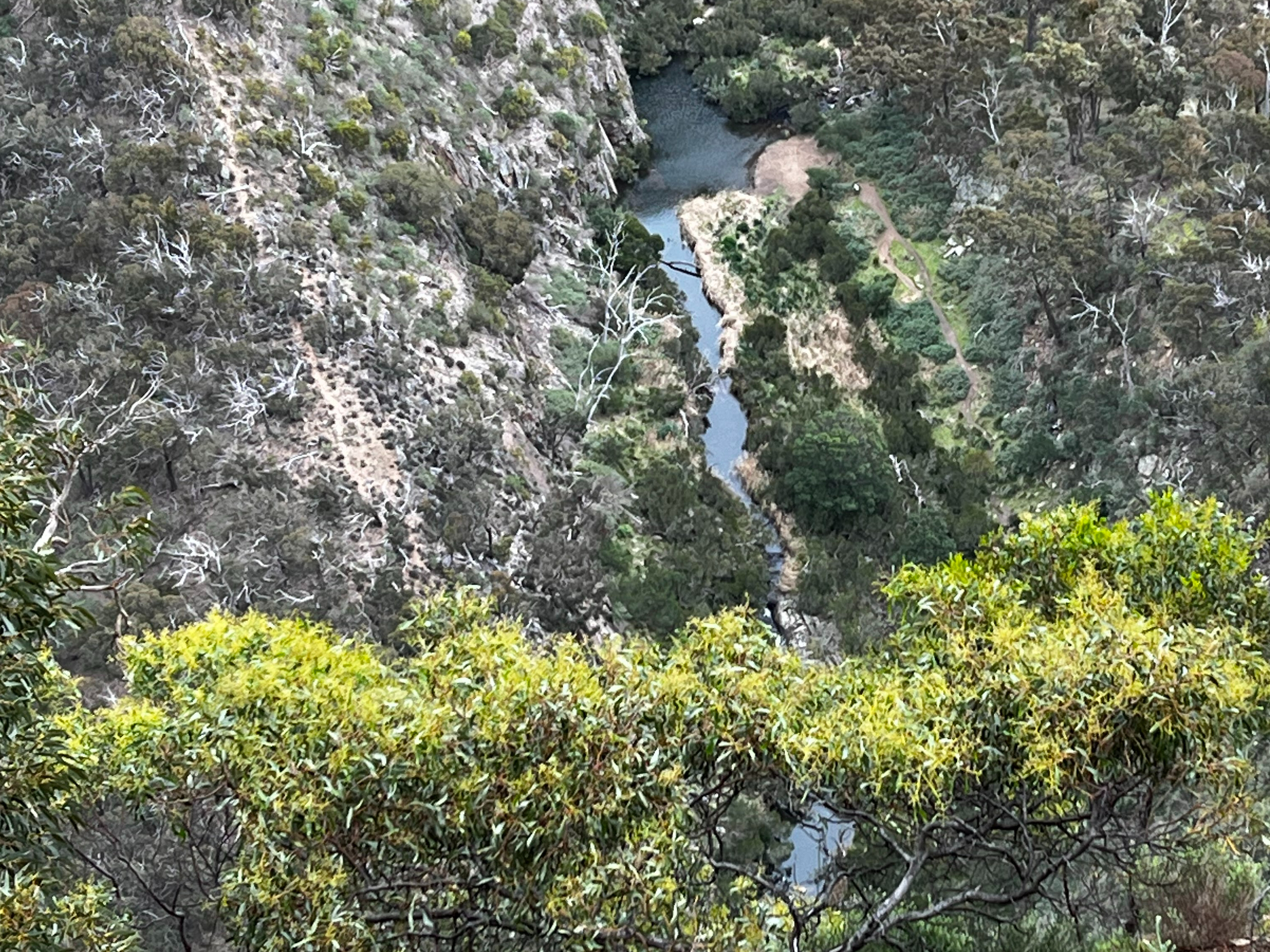 Werribee Gorge Circuit Walk