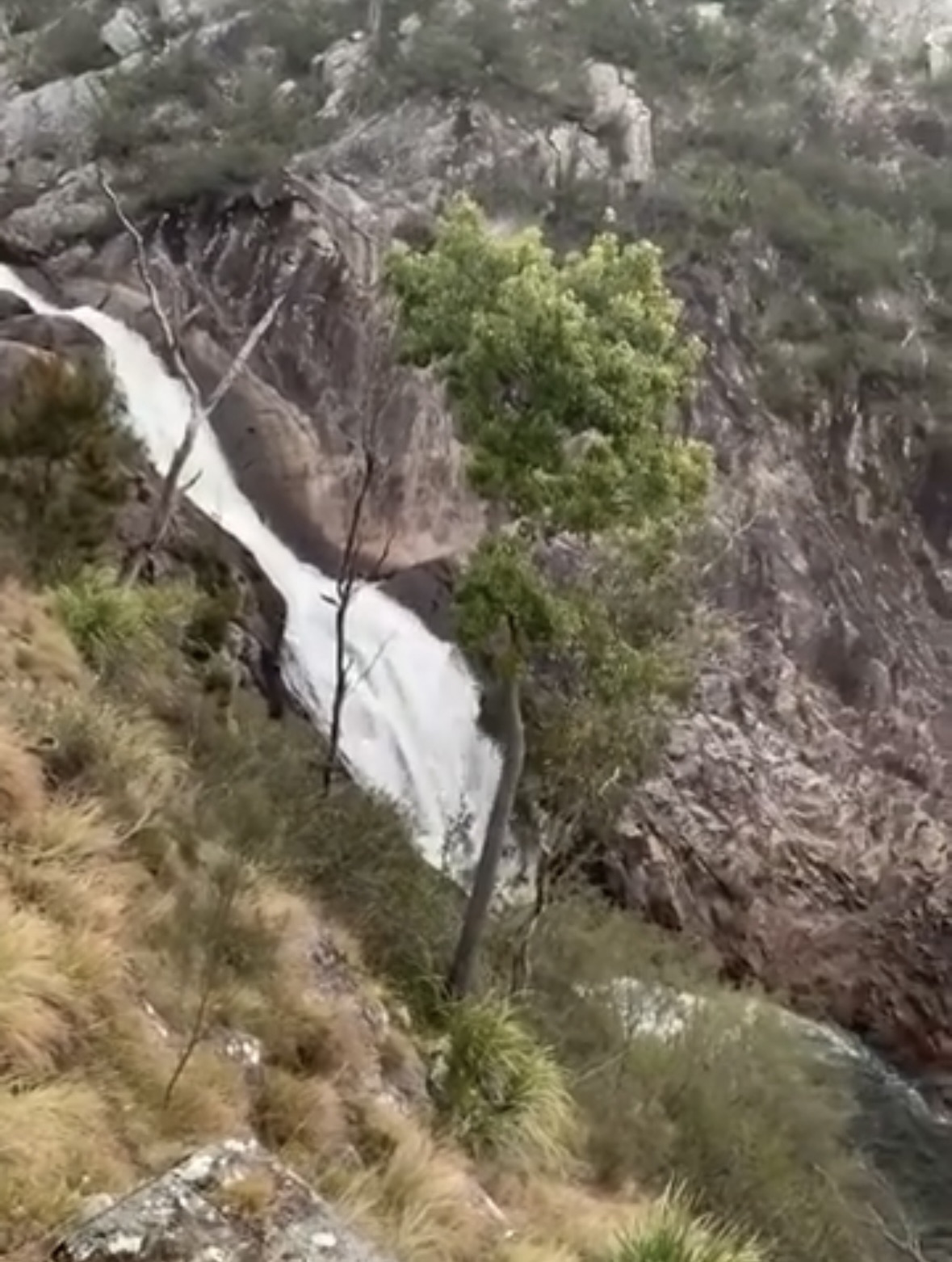 Hiking Guide to Boonoo Boonoo National Park, NSW