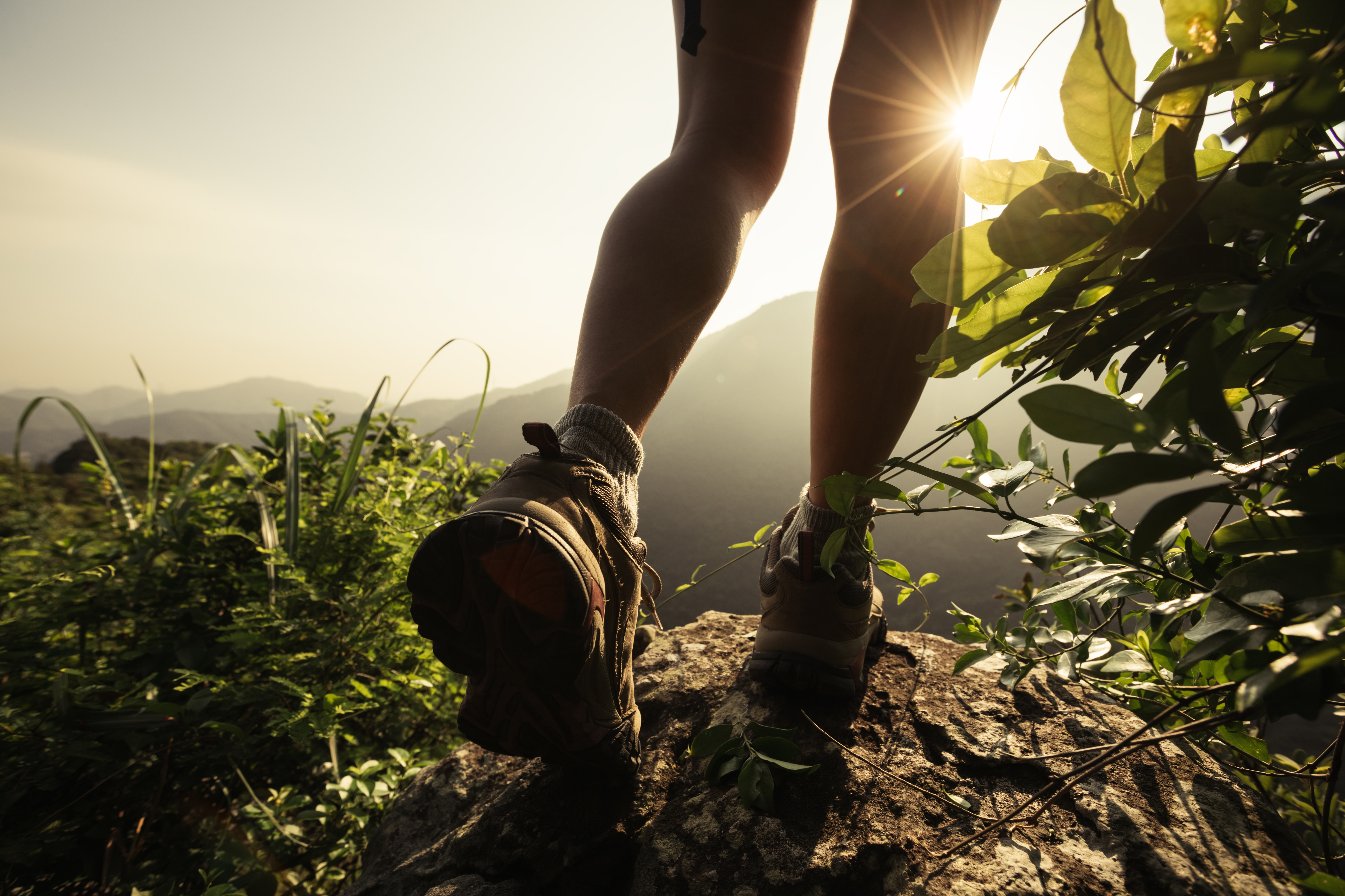 Unlocking the Mental and Physical Benefits of Hiking